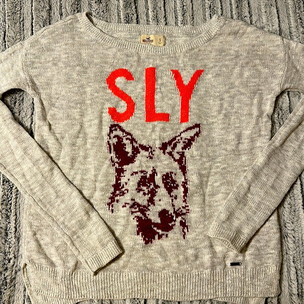 Hollister sly fox sweater